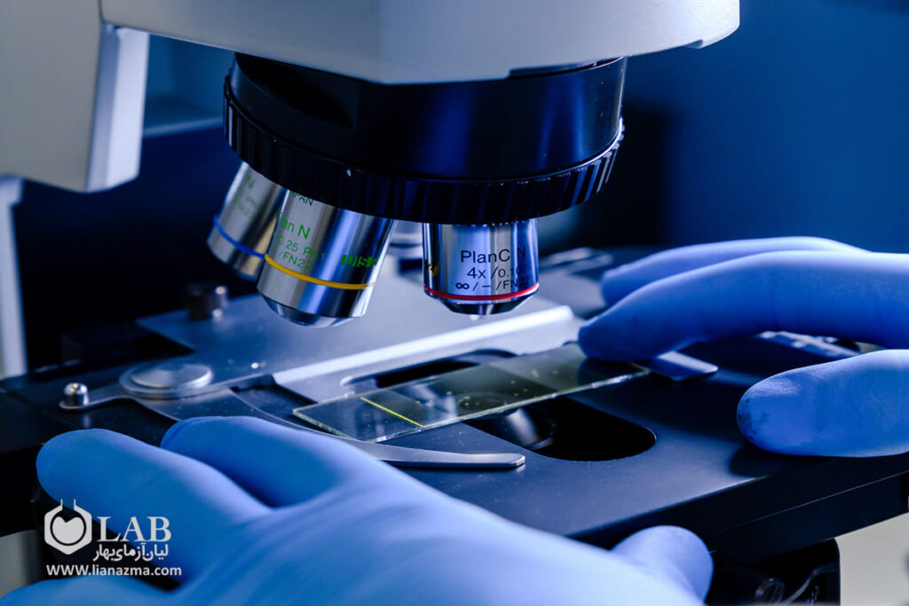 لام و لامل چیست و چه ویژگی هایی دارند؟ - لیان آزمای بهار