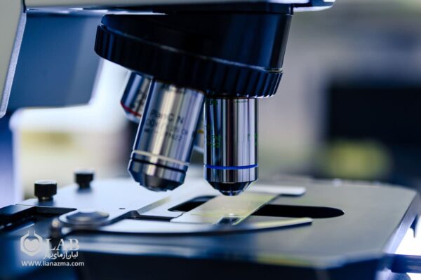 لام و لامل چیست و چه ویژگی هایی دارند؟ - لیان آزمای بهار