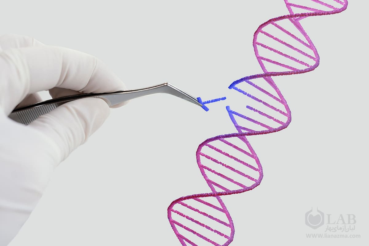 تجهیزات موردنیاز برای اصلاح ژنتیک کدام‌اند؟ | لیان آزمای بهار