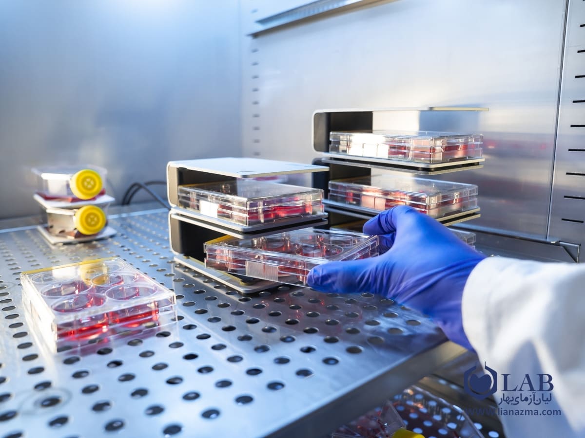 نکات ایمنی کار با انکوباتور | لیان آزمای بهار