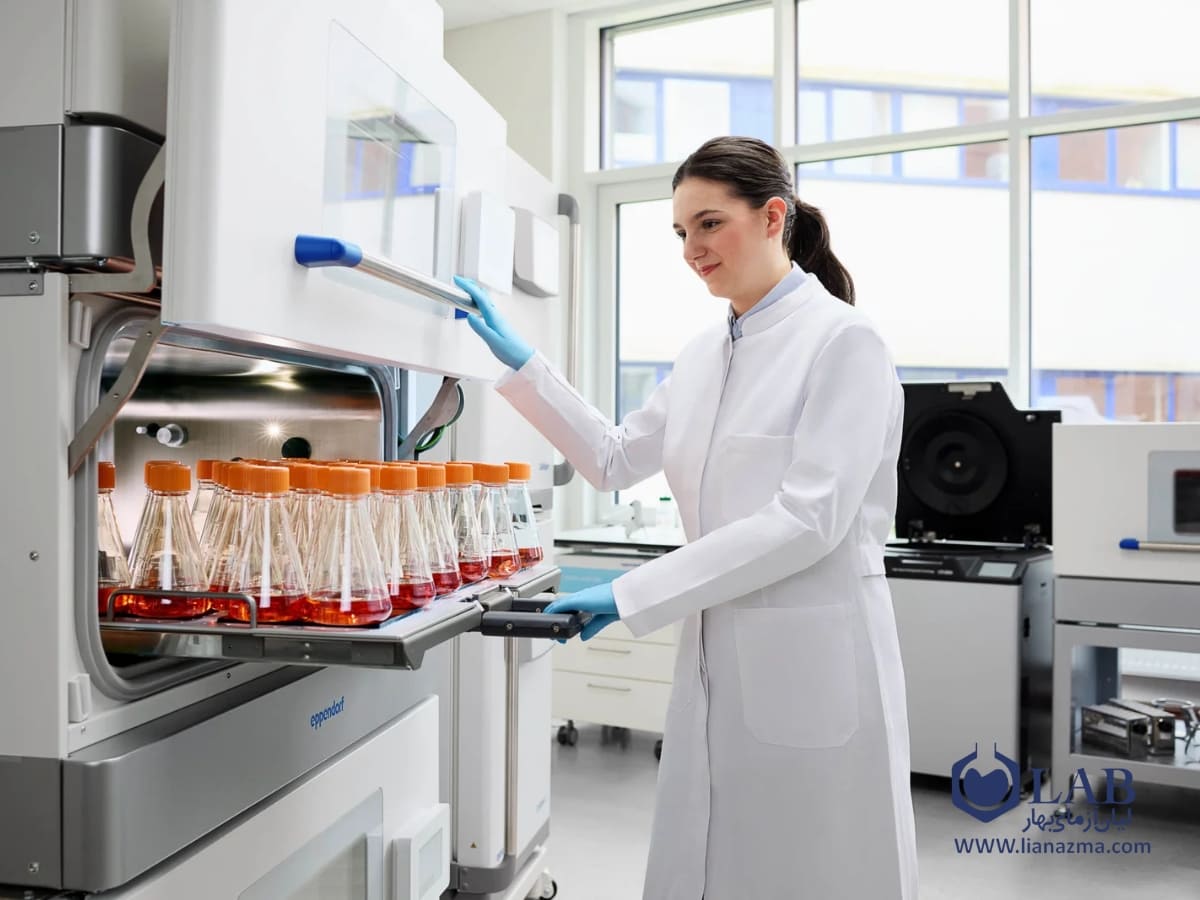 مرحله به مرحله نحوه کار با انکوباتور | لیان آزمای بهار
