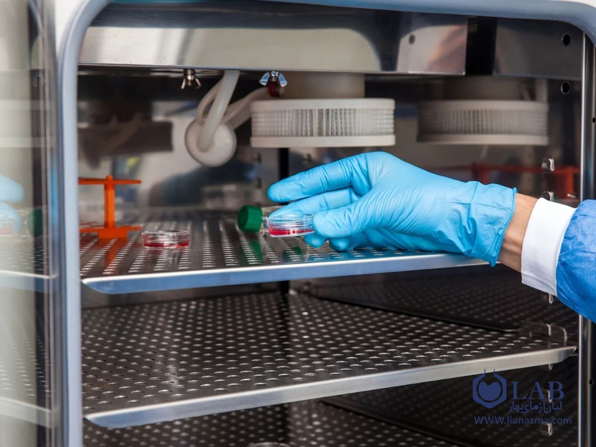 چالش ها و مشکلات رایج هنگام کار با انکوباتور | لیان آزمای بهار