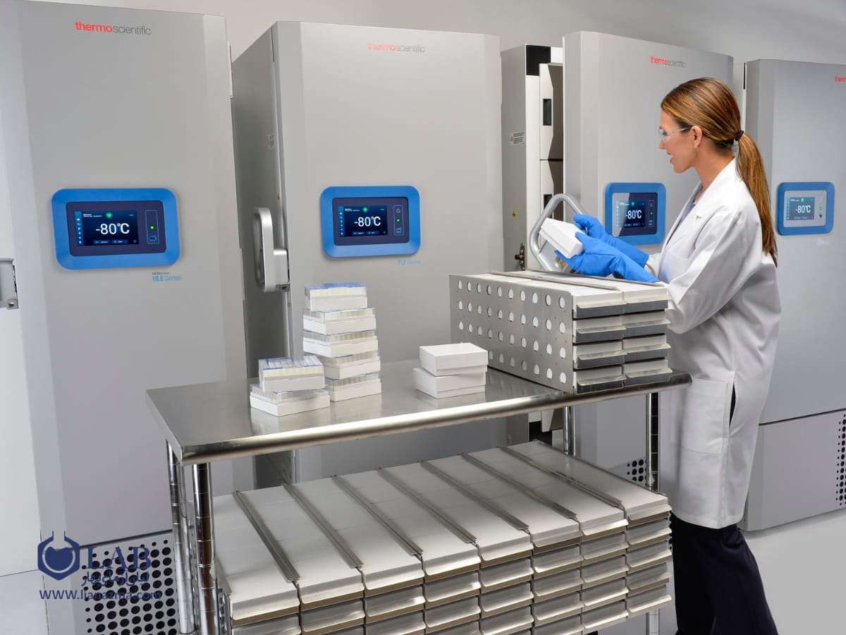 تعمیر و سرویس دوره‌ای | لیان آزمای بهار